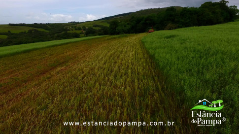 DOS EÓLICOS VIRA P FAZENDA_Moment.00_00_02_06.Quadro200_2f1e4b6cbad9cbcb5256fbffe132f296a0f3ce6e.jpg